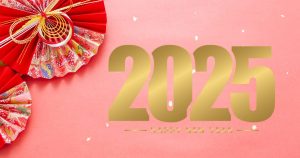 Read more about the article ２０２４年の実績と２０２５年の新たな挑戦