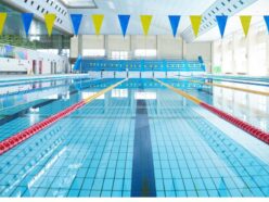 {{brizy_dc_image_alt entityId=